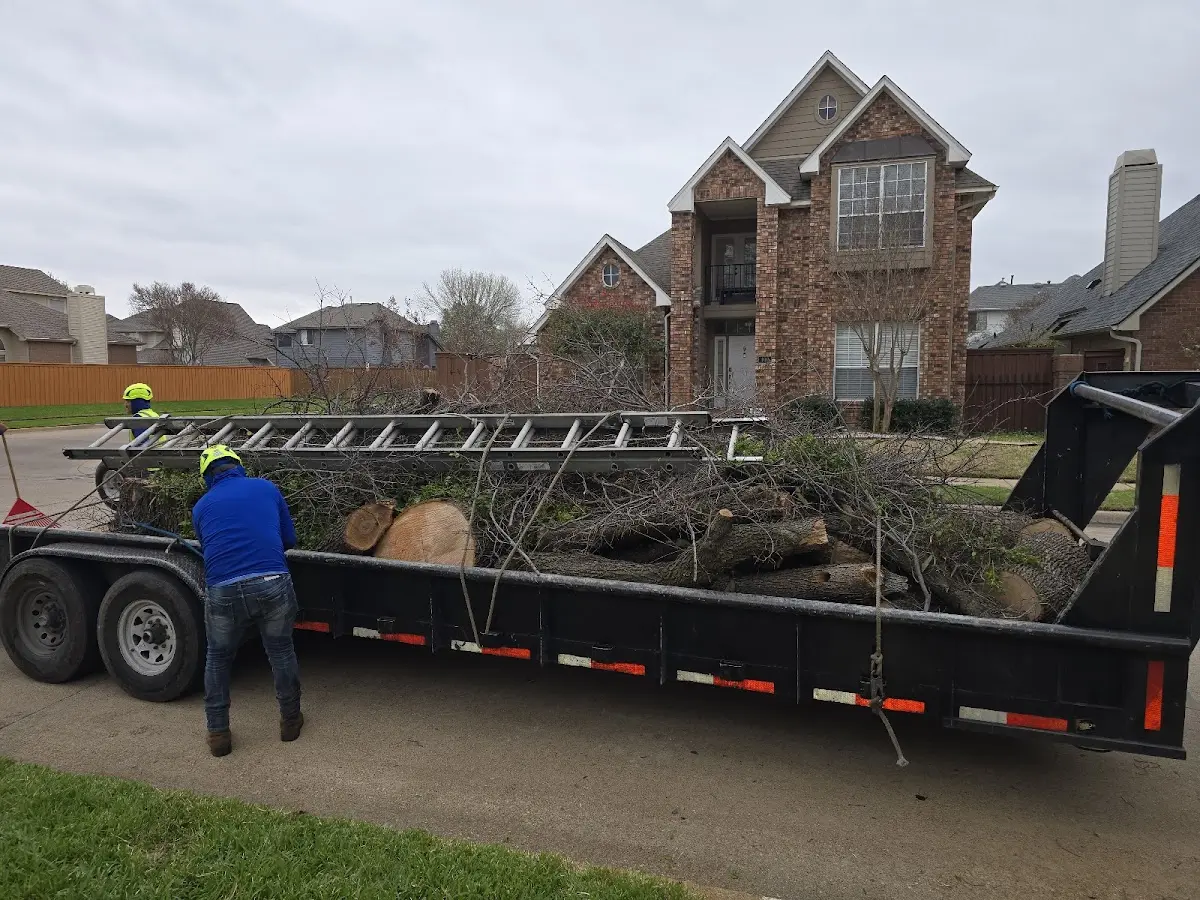 Expert Tree Fertilization with proper safety equipment in Sublette